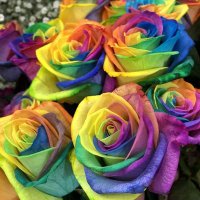 かーみ🌹 (@kami91dayo) 's Twitter Profile