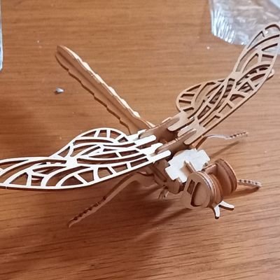 SaTracey's profile picture. live and let live