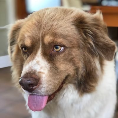 enrichK23's profile picture. 