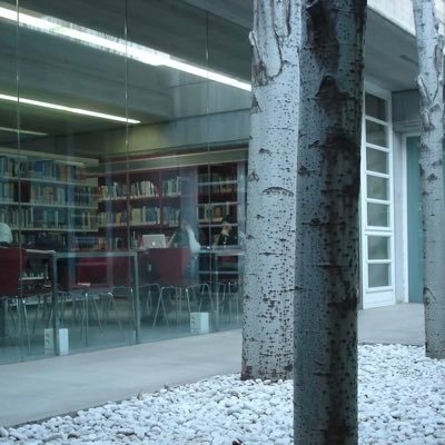 FcpGrupCO's profile picture. Som Pau Campillo, Felix González i Carlos Galán del grup M2 de la assignatura de Comportament Organitzatiu.