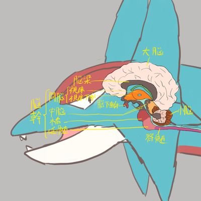 たかはっしゅさんのプロフィール画像