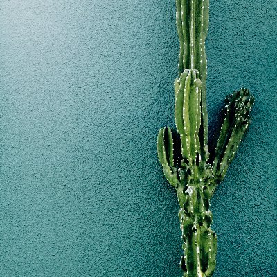 dongbala0057087's profile picture. 