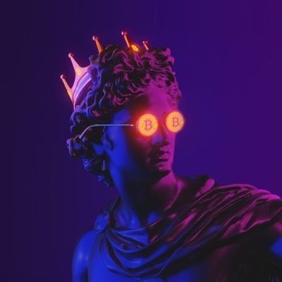 0xshahwb's profile picture. Curious. Builder.