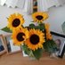 Tanya Waghorn (@waghorntanya) Twitter profile photo Tanya Waghorn (@waghorntanya) Twitter profile photo