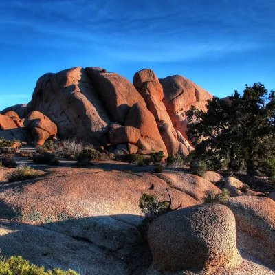 RclleHst8's profile picture. 