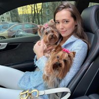 Lestet (@lestet241952) 's Twitter Profile