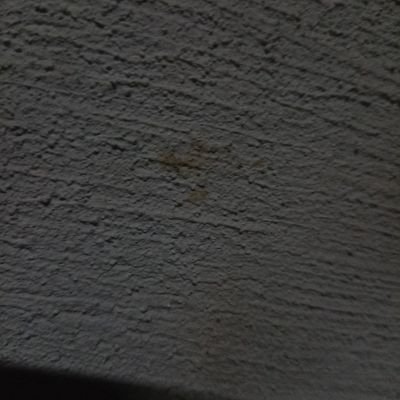 Guaranaisla's profile picture. 