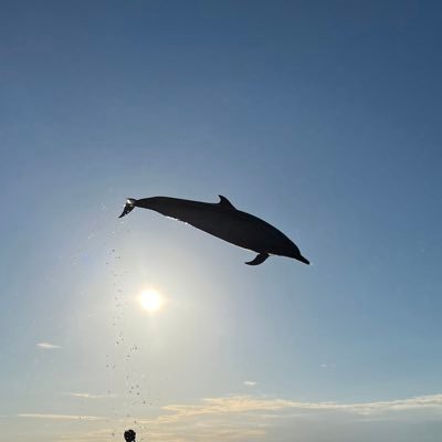 fuku_brak's profile picture. uts1→eeic2025 / ブラアカ30期 / サク同