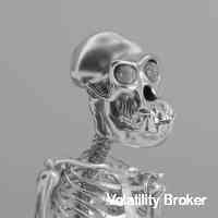 stakingcompouu's profile picture. Defi investor | nft collector 💎