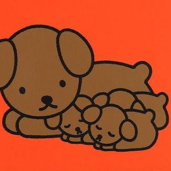 ItNq9's profile picture. 🧸顎変形症 元受け口・開咬・上顎劣成長・下顎前突。🥲プレ除去、オトガイ2024.11月にしました。現在オトガイ形成の影響で歯髄炎→根管治療で苦しみ中。不安吐き出しアカ。RTは御遠慮ください。DM返信遅れることがあります。遅かったら返信催促してください。