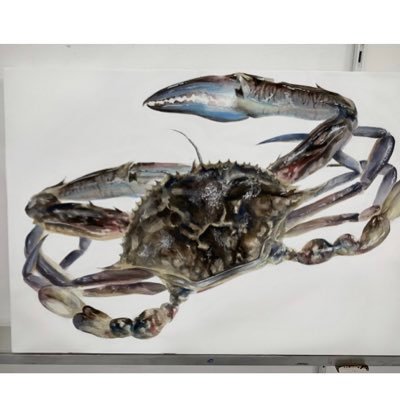 Aihan_aa's profile picture. 高