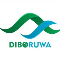 Diboruwa Home Services(@DiboRuwa) 's Twitter Profile Photo