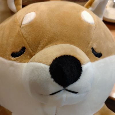 めそ🌙✨さんのプロフィール画像