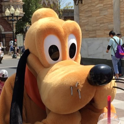 SpadeKitt's profile picture. 見る専を卒業し、気まぐれに日々の出来事を少しずつ発信していこうと思います。Ｘ初心者ですが、よろしくお願いします。