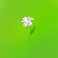 ❁りり❁ (@lily_2896_) 's Twitter Profile Photo ❁りり❁ (@lily_2896_) 's Twitter Profile Photo
