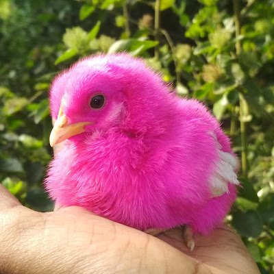 varunmithran151's profile picture. 