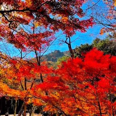 beginnerstatist's profile picture. 経研 数理ファイナンス専攻