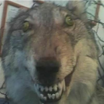 Soy un csmr más usando Twitter