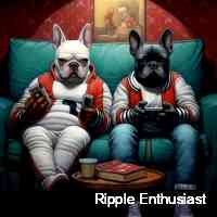 quntepc's profile picture. Navigating the thrilling highs and lows of the crypto market