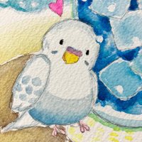 あおいことり(ぴっこ)(@aoipiicco) 's Twitter Profile Photo