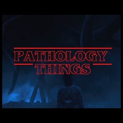 drinvincipaul's profile picture. MD Pathology 

#Pathtwitter #Pathology #Histopath #Cytopath #Hemepath #dermtwitter