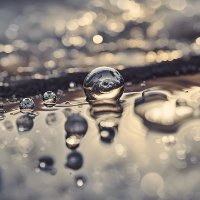 B (@draftify_photos) 's Twitter Profile