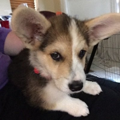 eldraque13's profile picture. I believe JS Mill when it comes to Liberty.