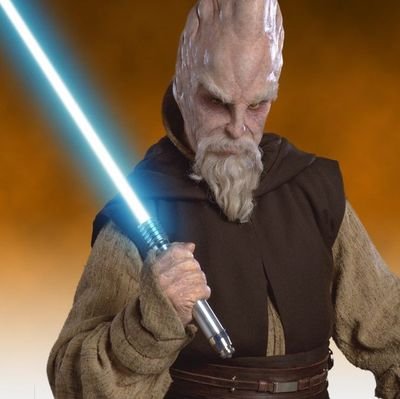 Jedi Yüksek Konseyi Üyesi Usta Ki Adi Mundi