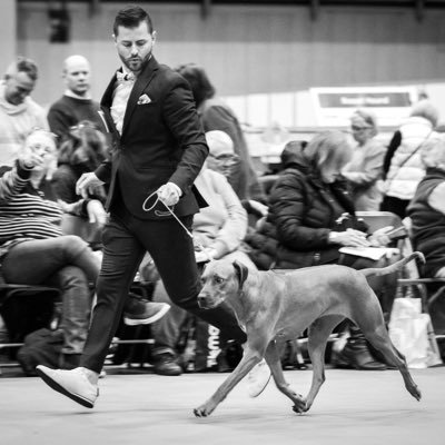 Passionné pas le Rhodesian Ridgeback, la photo et le voyage en camping car