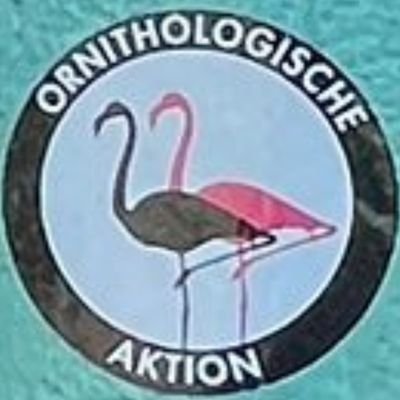 pakoforestal's profile picture. Ayudante de aprendiz de becario de peón forestal.