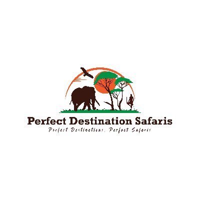 Welcome to Perfect Destination Safaris! Your gateway to unforgettable journeys in Kenya. As experts in corporate, local, & family travel, we curate exceptional