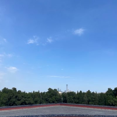 jackrex_st's profile picture. None