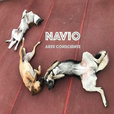 ConscienteCasa's profile picture. Hogar de Artista👩‍🎨 Refugio de Animales 🐴🐾🐈‍⬛ y emanaciones creativas 🪄🕳️ Explorando la Web3. #NFT