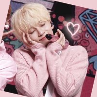 ちゃちゃ🦊 (@wonwoo_chacha) 's Twitter Profile