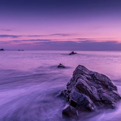 Sssh63678948's profile picture. 