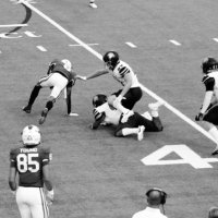 Kam Green (@thekamgreen) 's Twitter Profile