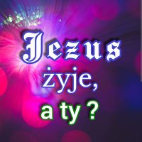 Jamo (@jamo32304164) 's Twitter Profile
