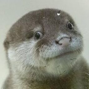くましさんのプロフィール画像