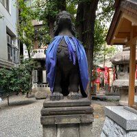 エアー (@rittanrikoriko) 's Twitter Profile Photo