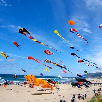 1706tc's profile picture.