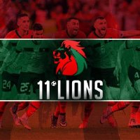 11LIONS.NL🦁 (@11lionsnl) 's Twitter Profile