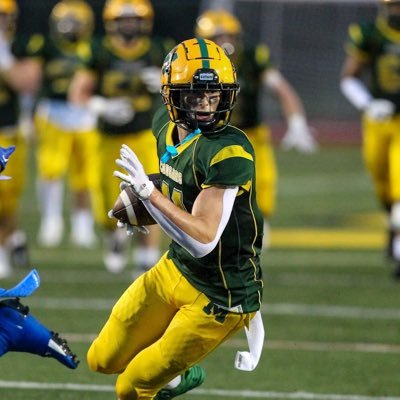 Matthew D’Avino Profile