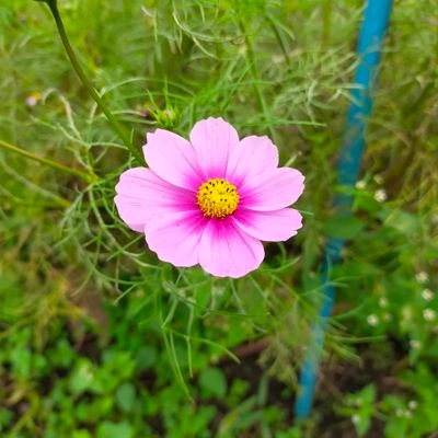 なるからさんのプロフィール画像