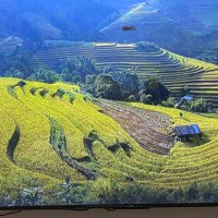 M.AHMAD (@mahmad21630142) Twitter profile photo