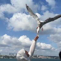 حنان داوود الخنيني (@hananalkhunaini) 's Twitter Profile Photo حنان داوود الخنيني (@hananalkhunaini) 's Twitter Profile Photo