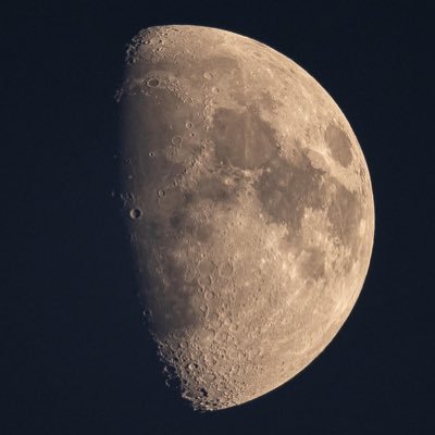 alicoben_'s profile picture. sana ne to you