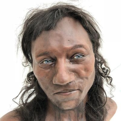 TytoAlba1125625's profile picture. 