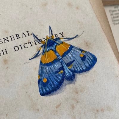 leadensea's profile picture. サーモンラン • 21+