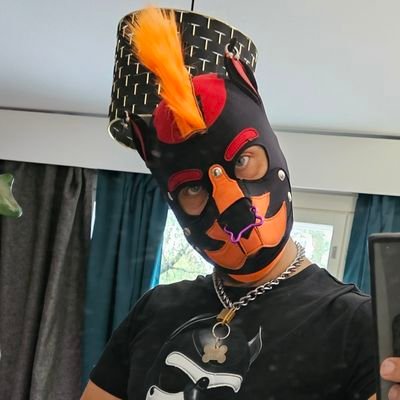 Pup Argus from Finland
you can find me on telegram Pup_Argus , if want PM to me