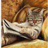 redwingschic's profile picture. mom, former business owner, yooper anti trump because I love my country. blocked by Laura Ingram, Roy Moore, Dan Bongino, Dana Loesch and Rudy Giuliani